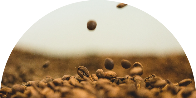 Grãos de café caindo